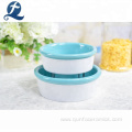 Round water feeding ceramic stoneware dog food bowl